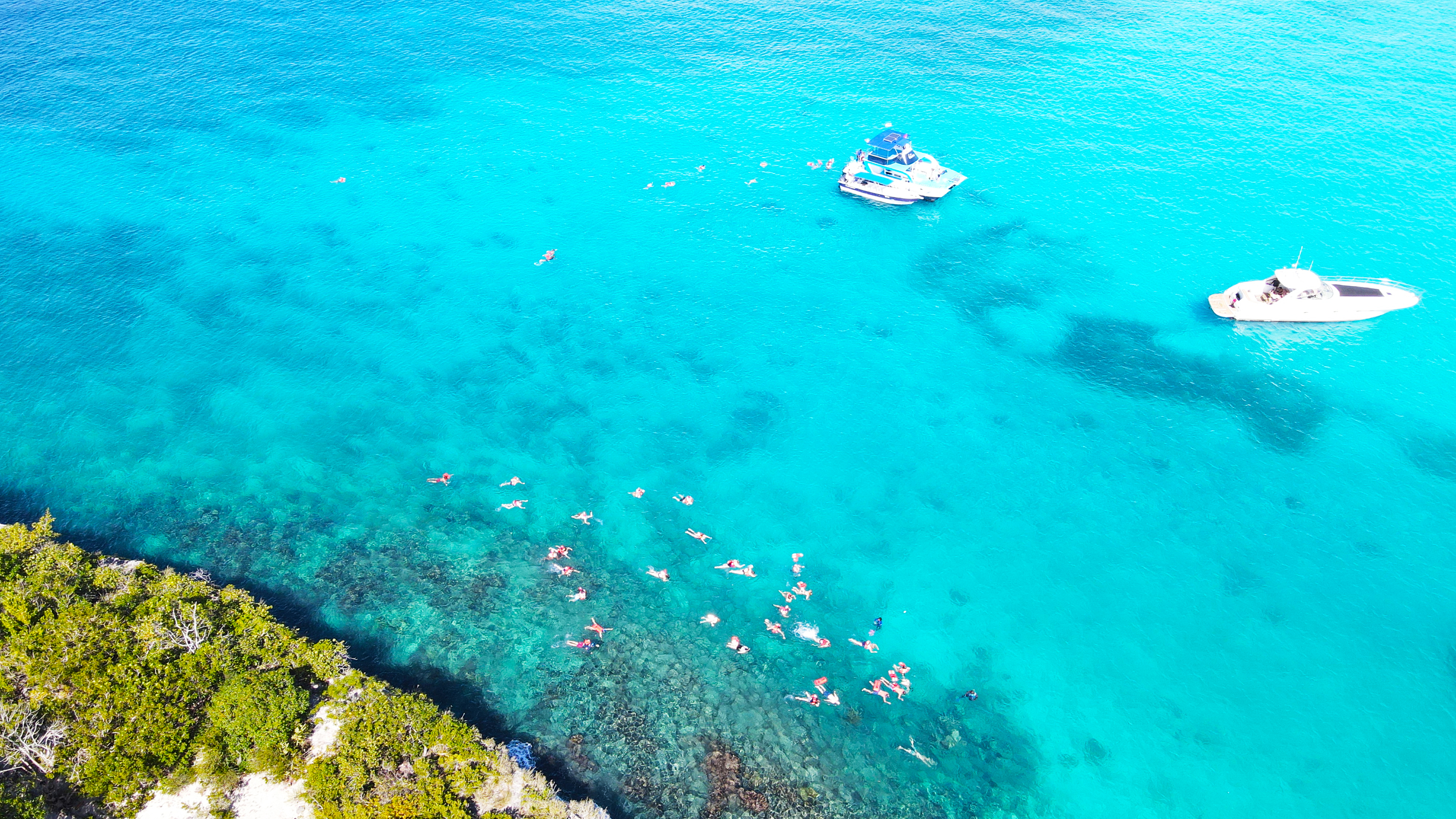 Isla Catalina - Snorkeling y Playa Virgen