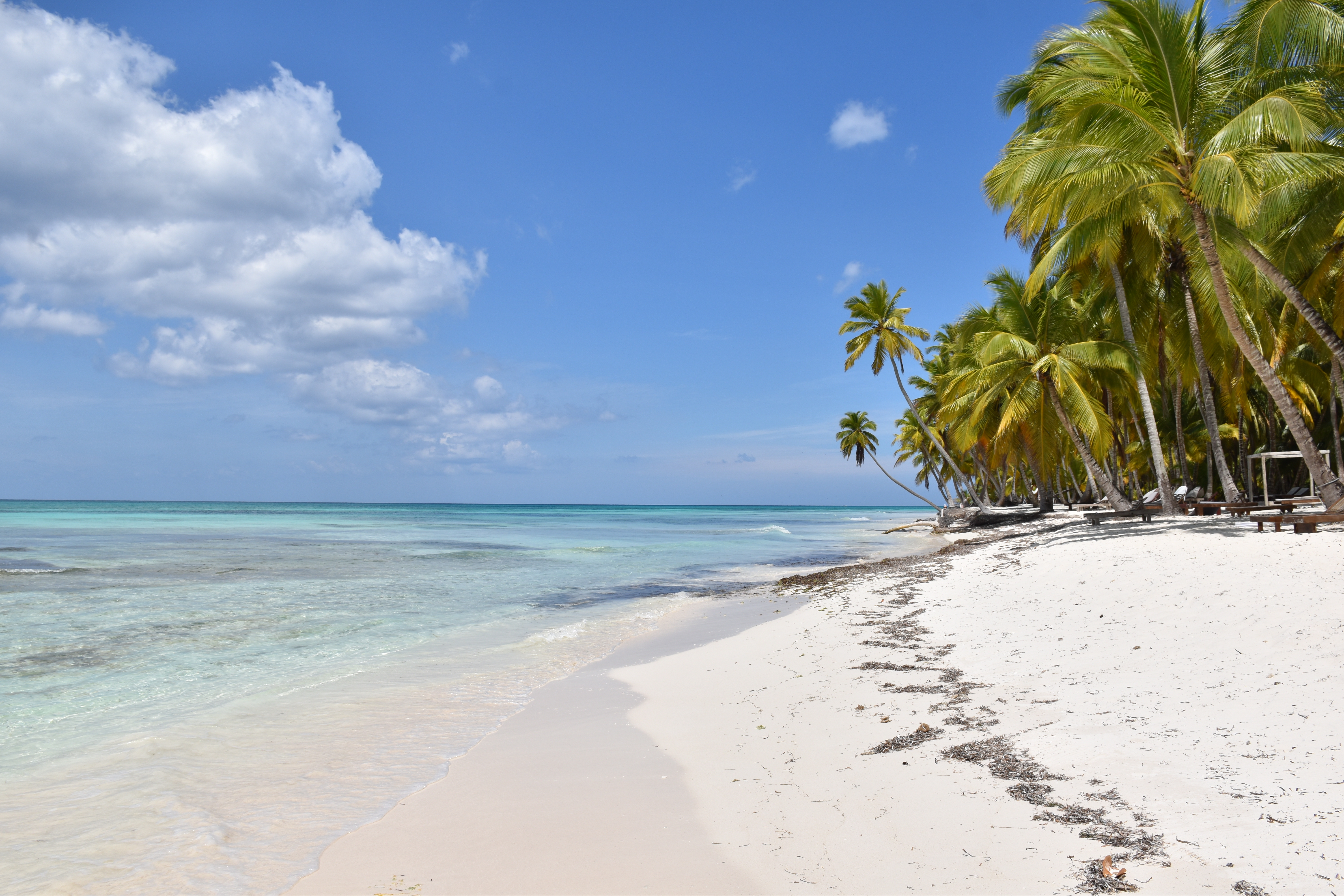 Isla Catalina - Snorkeling y Playa Virgen