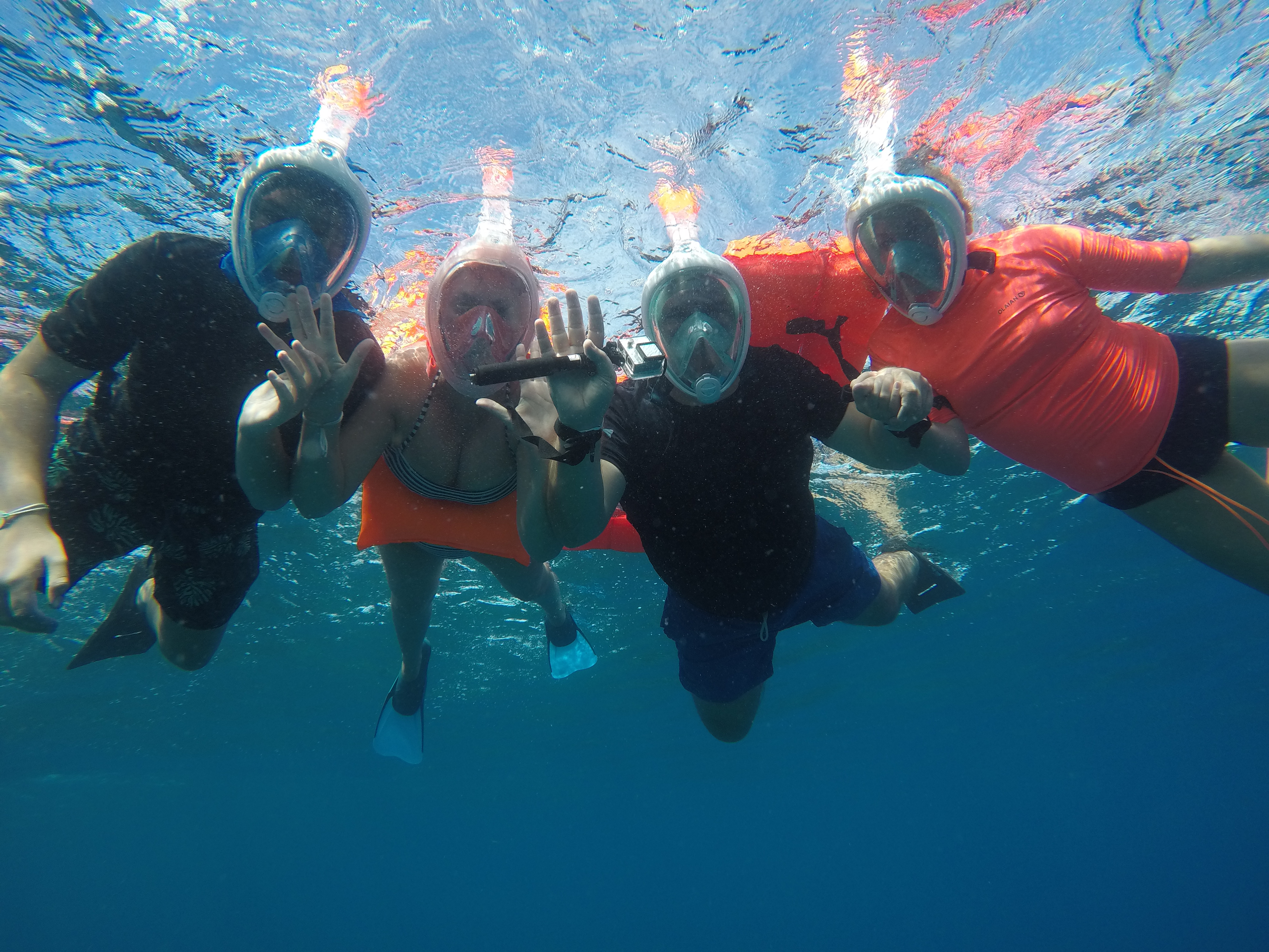 Isla Catalina - Snorkeling y Playa Virgen