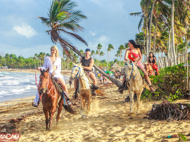 Paseo a caballos